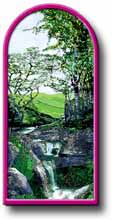 Azalea Falls Lodge Logo
